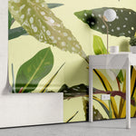 Tapet personalizat leaf cu frunze de begonie alocasia snake plant si zz plant in tonuri de galben verzui yellow tinted