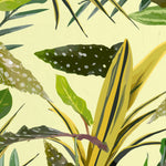 Tapet personalizat leaf cu frunze de begonie alocasia snake plant si zz plant in tonuri de galben verzui yellow tinted