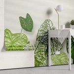 Tapet personalizat leaf cu frunde de caladium bicolor pe un fundal alb cu accente de lumina caladium bicolor