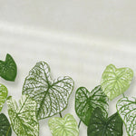 Tapet personalizat leaf cu frunde de caladium bicolor pe un fundal alb cu accente de lumina caladium bicolor