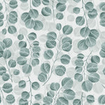 Tapet personalizat leaf cu frunze de eucalipt pe un fundal deschis eucalyptus