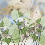 Tapet personalizat leaf cu frunze de philondendron rugosum in stil watercolor watercolor rugosum
