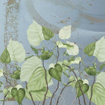 Tapet personalizat leaf cu frunze de philondendron rugosum pe fundal albastru blue wild philodendron