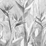 Tapet personalizat leaf cu planta paradisului in nuante de gri grey bird's paradise