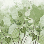 Tapet personalizat leaf cu frunze de philondendron rugosum pe fundal verde in stil watercolor green philodendron rugosum