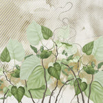Tapet personalizat leaf cu frunze de philondendron rugosum pe fundal texturat in dungi textured rugosum