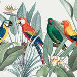 Tapet tropical personalizat tropical cu papagali exotici colorati planta paradisului flori si frunze tropicale tropical parrots