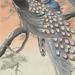 Tapet personalizat oriental cu pauni albastri in copac oriental peacocks