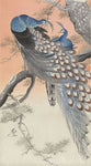 Tapet personalizat oriental cu pauni albastri in copac oriental peacocks
