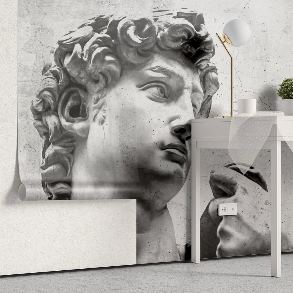 Tapet personalizat - DAVID STATUE PORTRAIT – beudis.ro