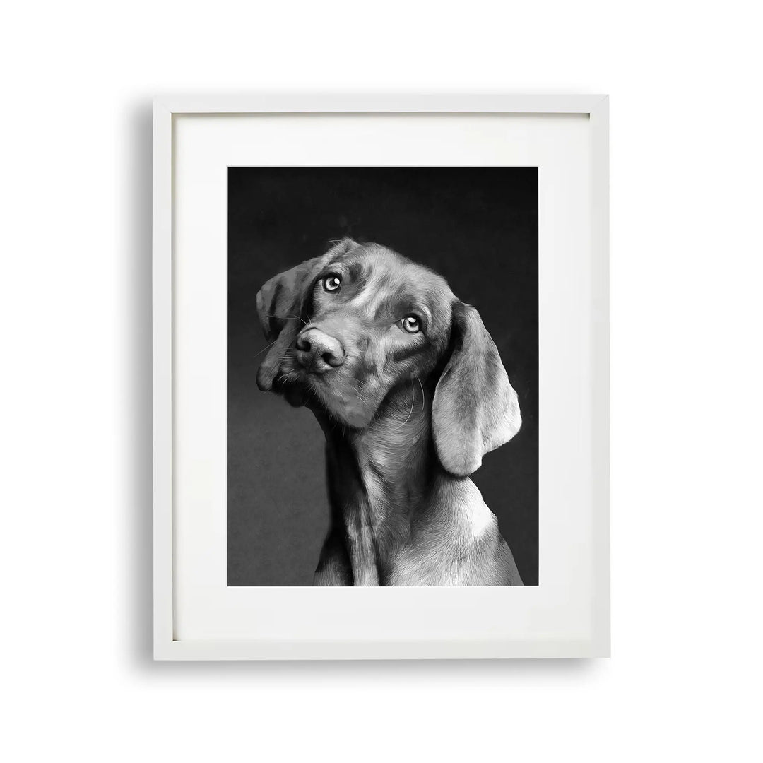 Tablou cu rama destinat copiilor care reprezinta o pictura moderna alb negru a unui caine vizsla dragalas vizsla dog