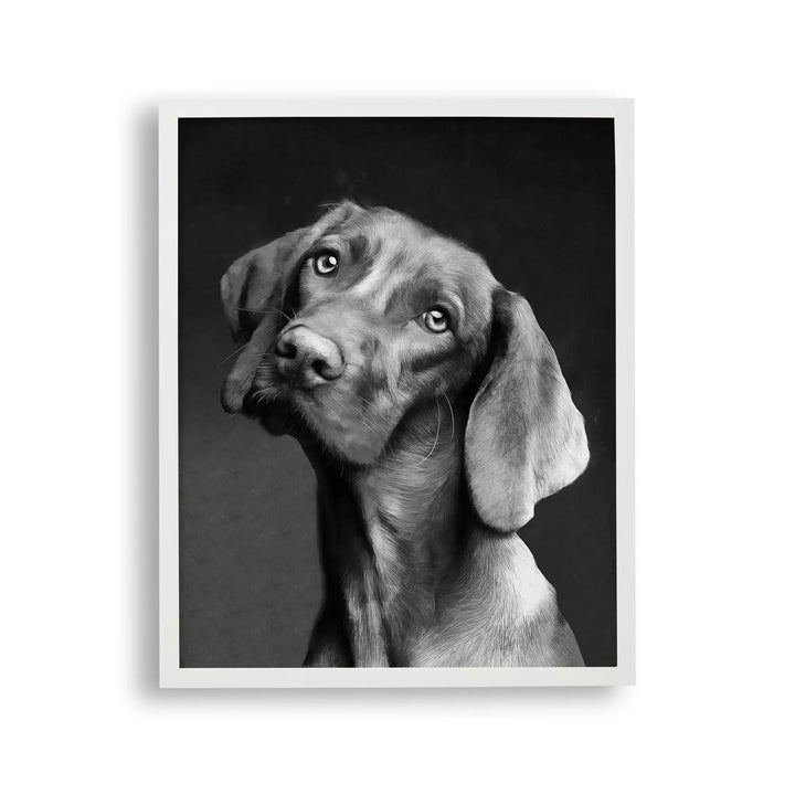 Tablou cu rama destinat copiilor care reprezinta o pictura moderna alb negru a unui caine vizsla dragalas vizsla dog