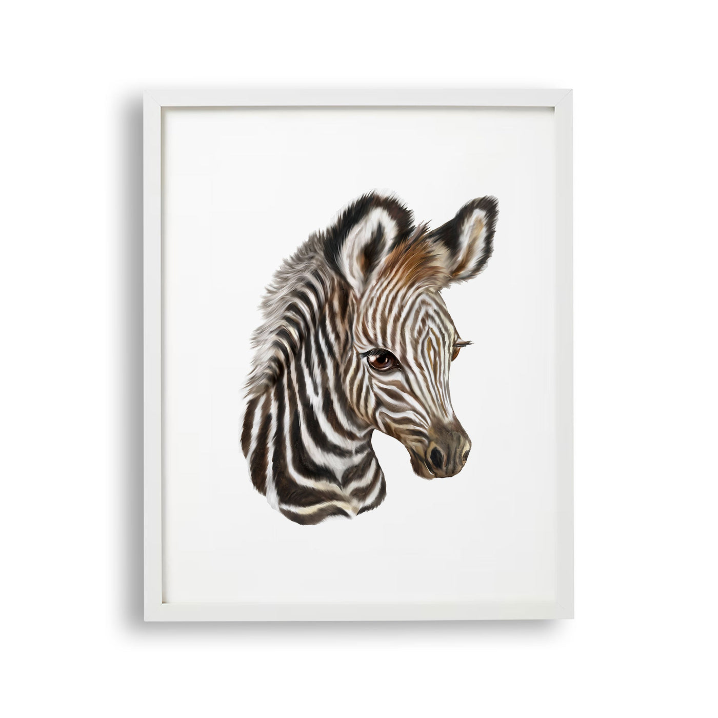 tablou-cu-rama-pentru-copii-care-ilustreaza-un-pui-de-zebra-care-arata-frumusetea-si-detaliile-acestui-animal-zebra-foal